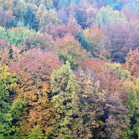 Gästezimmer Klopfer 3*