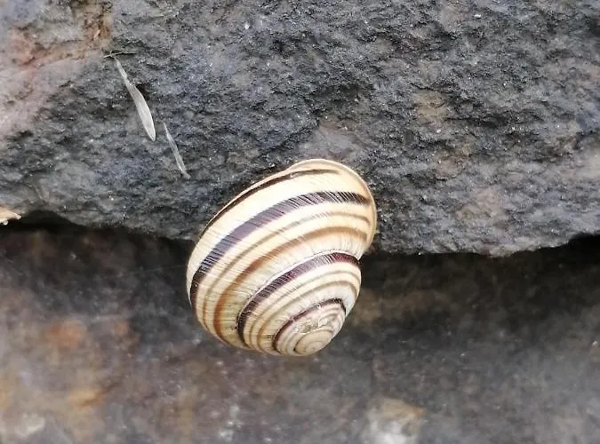 Gaestezimmer Klopfer Guest house Sankt Johann im Saggautal