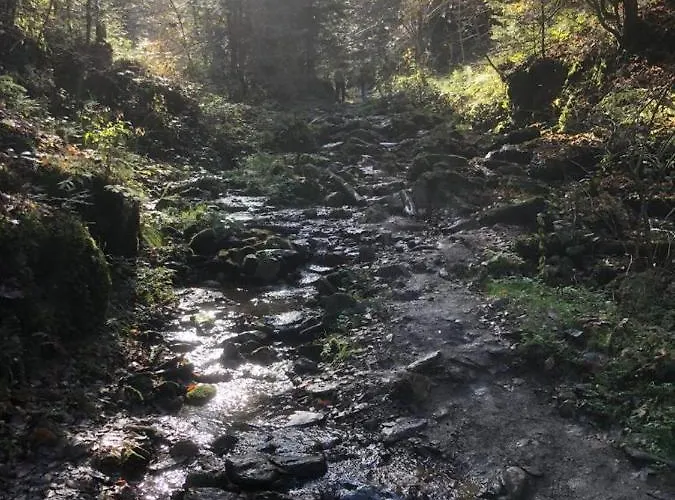 Guest house Gaestezimmer Klopfer