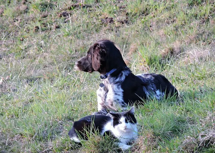 Guest house Gaestezimmer Klopfer