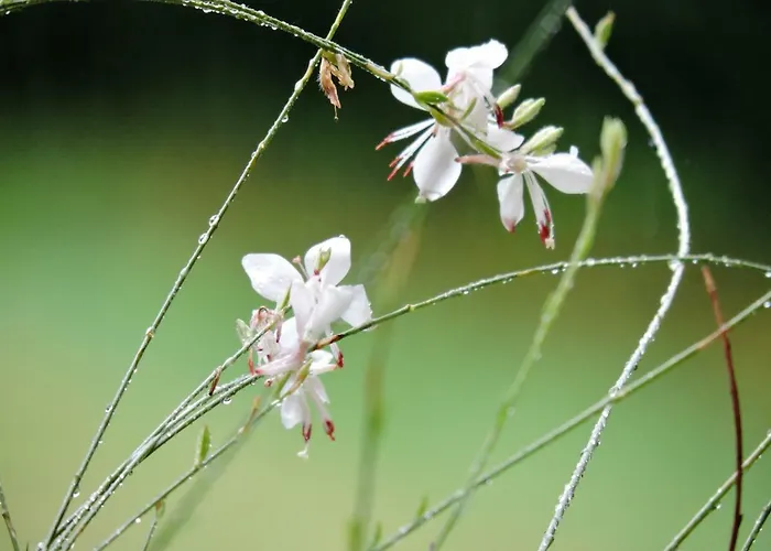 Gaestezimmer Klopfer Guest house 3*