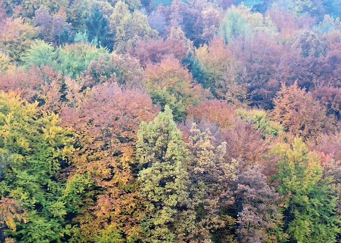 Gaestezimmer Klopfer 3*