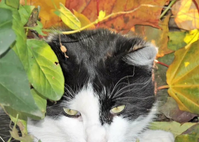 게스트하우스 Gaestezimmer Klopfer