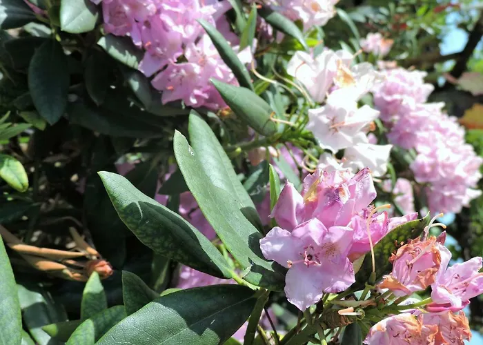 Guest house Gaestezimmer Klopfer Sankt Johann im Saggautal