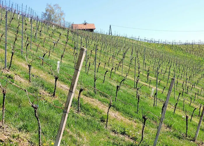 Gaestezimmer Klopfer 3* Sankt Johann im Saggautal