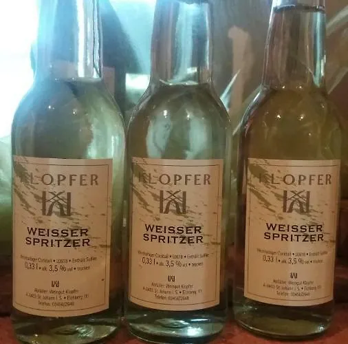 Guest house Gaestezimmer Klopfer Sankt Johann im Saggautal